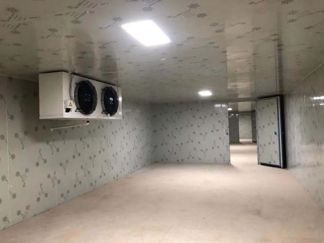 广灵气调保鲜冷库造价